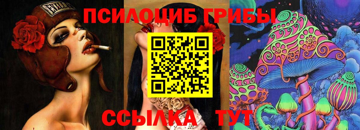 Новошахтинск  Псилоцибиновые грибы мухоморы  Вход с VPN 